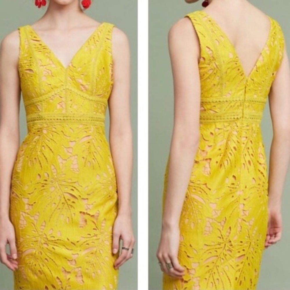 Anthropologie Maeve Gardenia Lace Column Dress